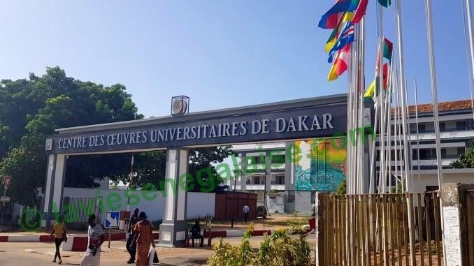 Lire la suite à propos de l’article Exode des enseignants sénégalais vers la Guinée : le signal d’alarme d’un système universitaire en crise