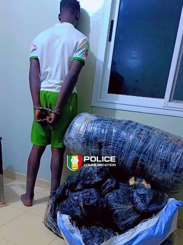 Lire la suite à propos de l’article Rufisque : 62 kg de chanvre indien saisis, deux trafiquants arrêtés