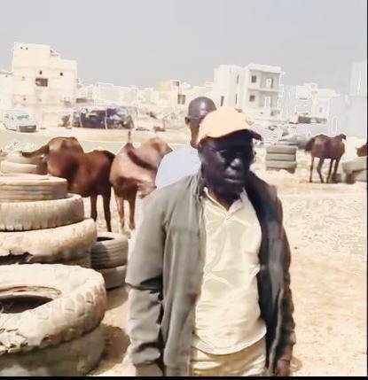 Lire la suite à propos de l’article BSS de Rufisque : Opération de déguerpissement à Guendel et sommation aux charretiers