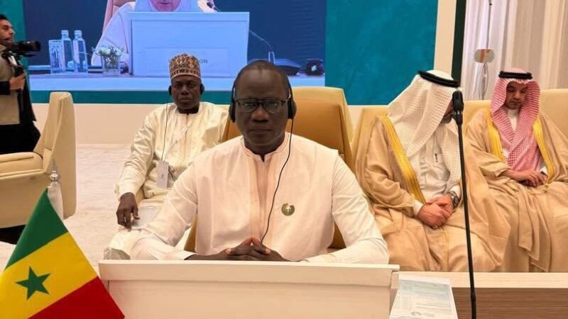 Initiative Verte du Moyen-Orient : le Sénégal à la pointe de la lutte contre la désertification et la sécheresse