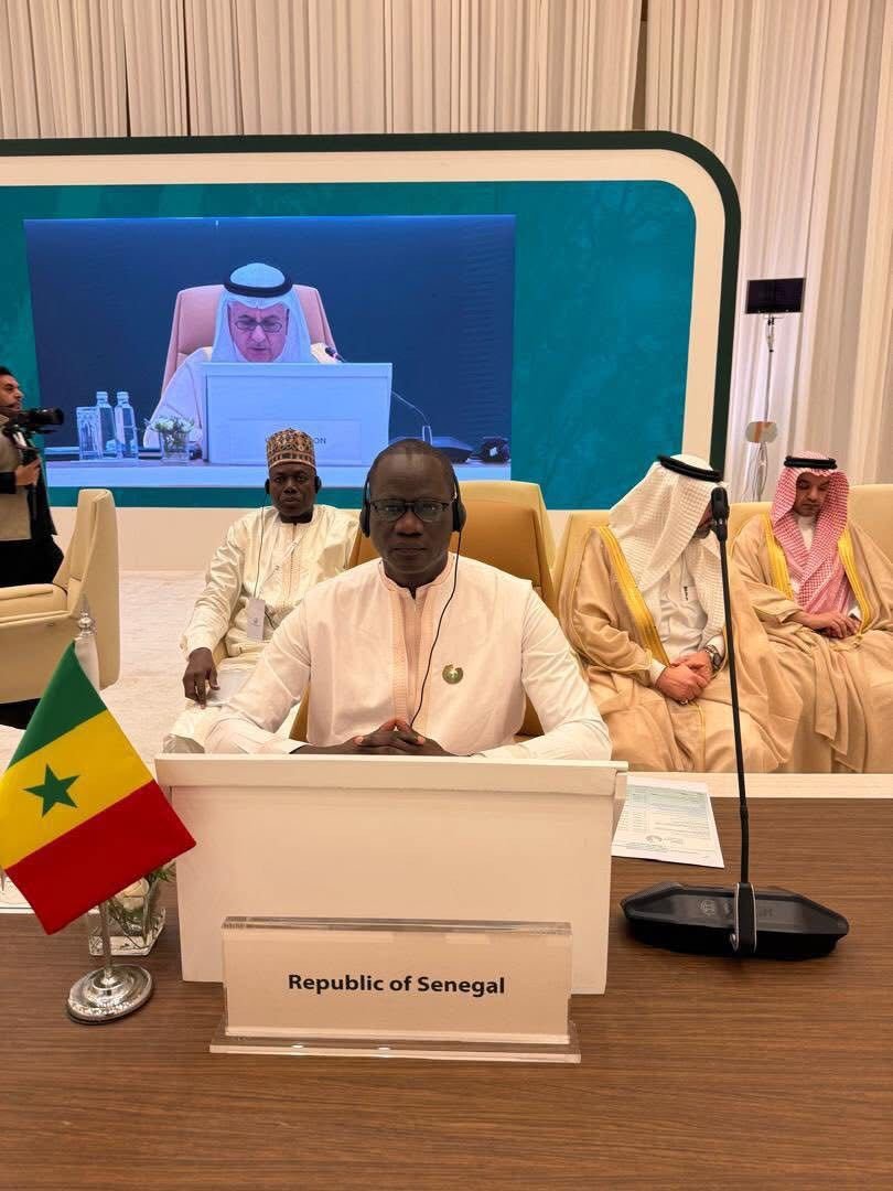 Initiative Verte du Moyen-Orient : le Sénégal à la pointe de la lutte contre la désertification et la sécheresse