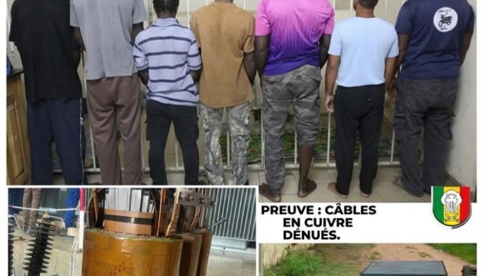 Démantèlement d’un réseau de vandalisme et de vol de câbles SENELEC par la DIC